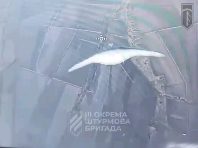 ロシアのドローンの破壊は続きます。第3回攻撃旅団のドローンオペレーターは、ロシアの多数の修正志向のUAVと敵のマビックドローンを妨害しました。東ハルキフの方向。 2025年1月