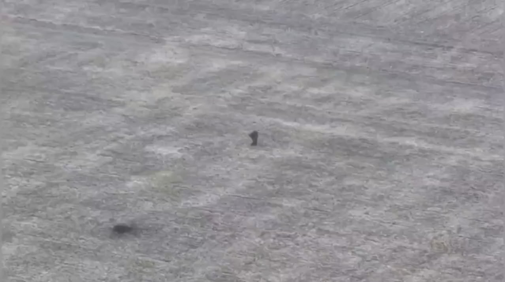 野原の真ん中で静止し、FPV による頭部への直撃を受けたロシア兵の動画。これは、ロシア兵士がこの「戦術」を実行する24時間以内の2番目のビデオです。 （日付不明・場所不明）