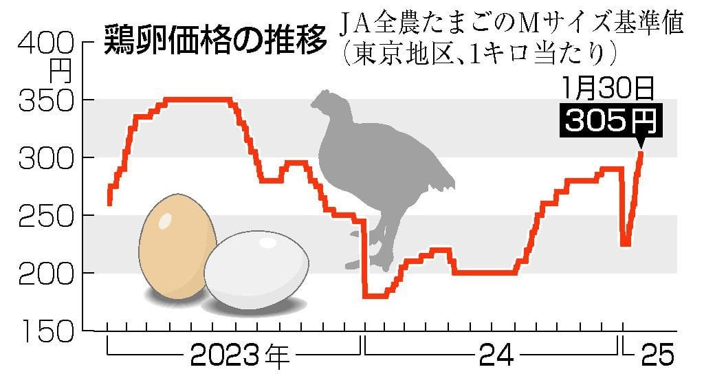 鶏卵、１年半ぶり高値 鳥インフル被害で急上昇