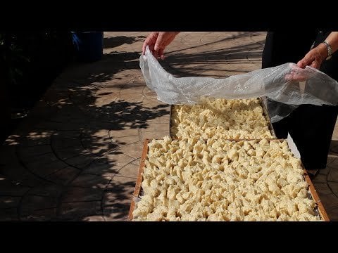 トラハナスおばあちゃんは最高です！ |物語と料理