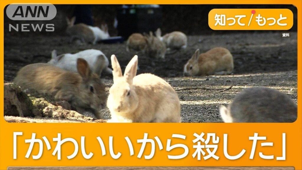 「ウサギの島」77匹死ぬ 蹴って逮捕された25歳の男「かわいいから殺した」