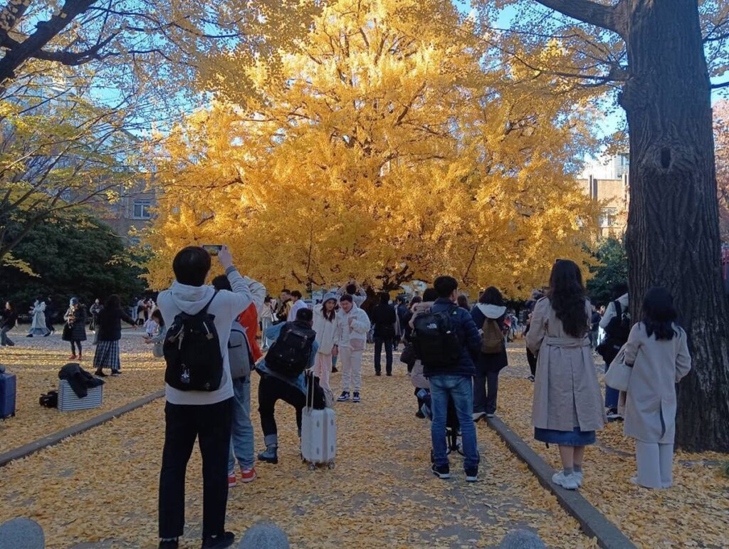 「東大」が「中国人留学生」だらけになっていた 大学院生の「5人に1人が中国人」…周辺には「ガチ中華」もズラリ（デイリー新潮） - Yahoo!ニュース