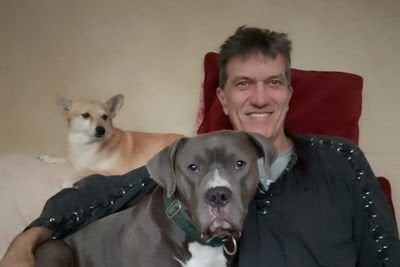 「私は自分の犬に死刑には署名しない」 – 多くの飼い主がXL Bullyの禁止を無視する理由について動物保護者が語る