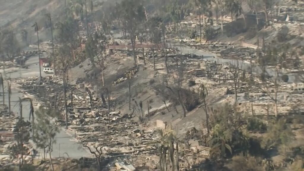 日本政府 アメリカLAの山火事に200万ドル（約3億円）支援を発表