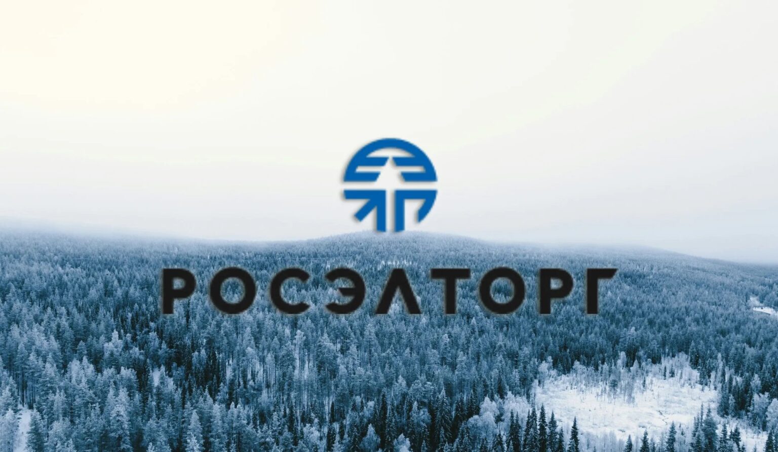 ロシア最大の国家調達プラットフォームが親ウクライナ団体からのサイバー攻撃に見舞われる