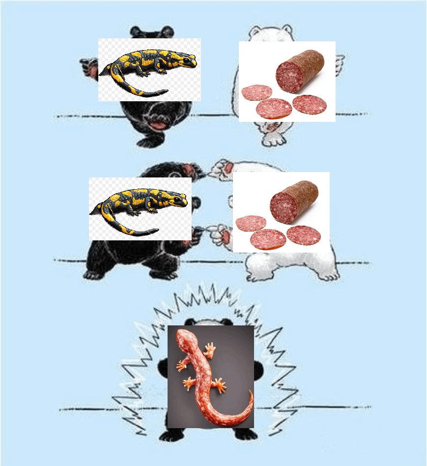 ついにサラマンダーが…