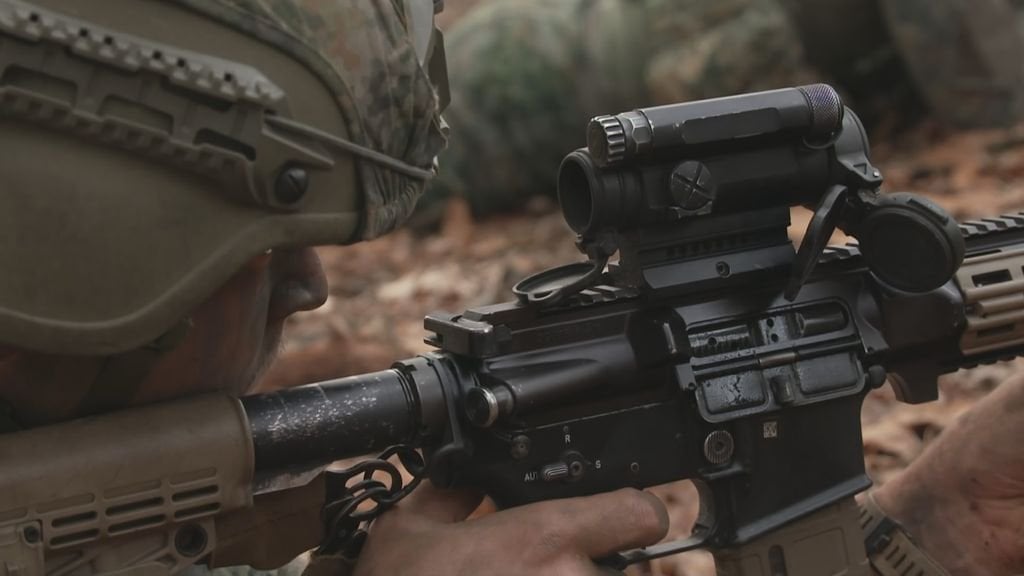 より高いNATO標準に広がる連合：PVVとBBB