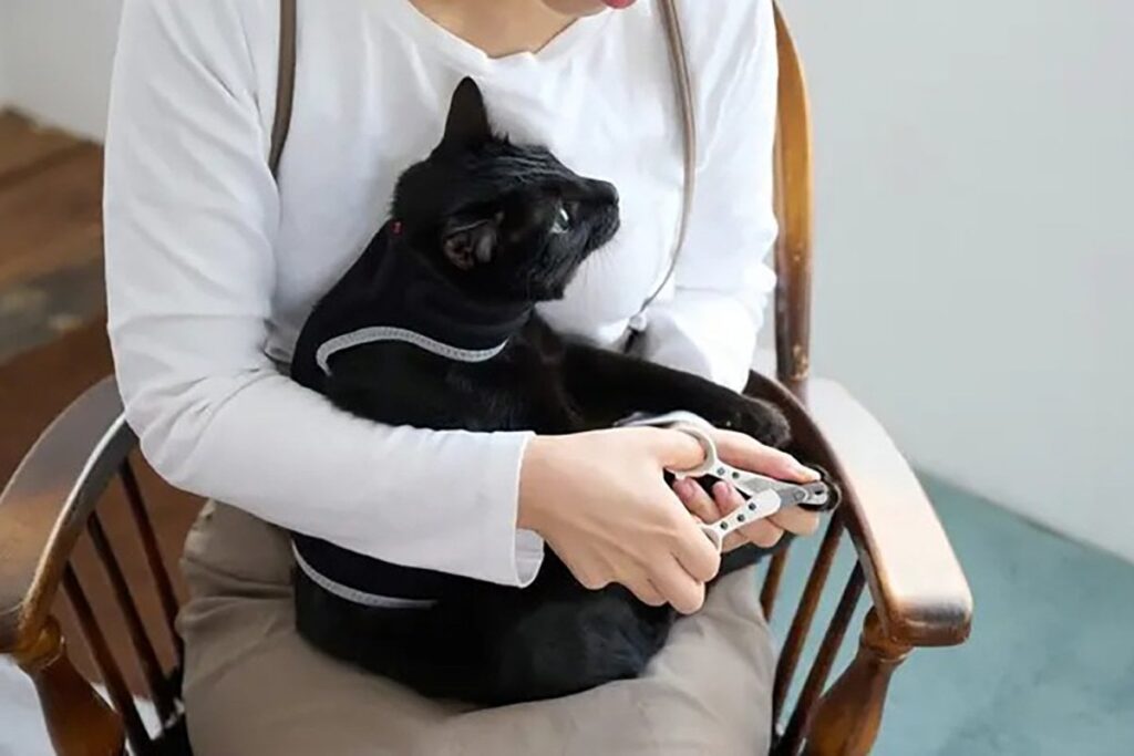 猫の爪切りたいとき着せるチョッキ。動き止まって安全