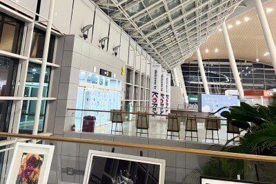 【ノーモラル探偵団】韓国旅客機事故、空港改良時の安全責任者が遺体で発見＝韓国ネット「これで何人目？」「真相究明を」【ワンカップ片手に名推理】