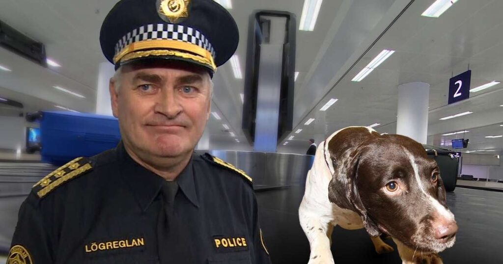 レイフスストーズの麻薬犬が昨年死亡 - 誰も彼の代わりをしない - RÚV.is