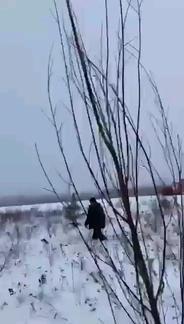 ロシアのハバロフスク地方で、An-24航空機が技術的故障により離陸に失敗し、藪に墜落した。誰もが生きています。