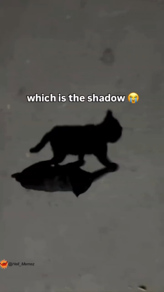キャットボット
