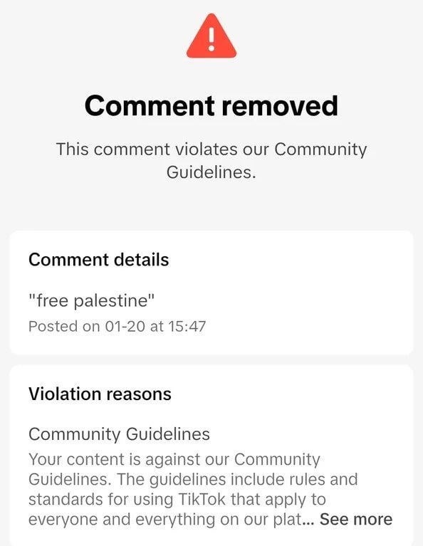 かつてパレスチナ支持が盛りあがっていたTikTok、死んだらしい