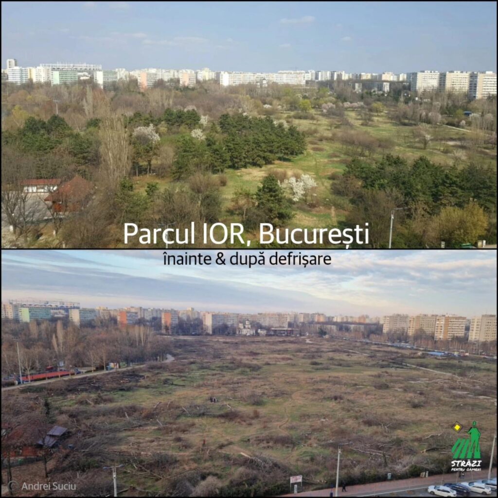 ブカレストの IOR 公園、森林破壊の前後