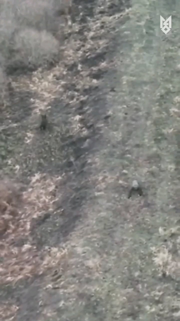 ウクライナの特殊部隊は、彼の同志に捨てられた負傷したロシアの兵士を見つけて救出しました。雪の中で滅びることを期待して、ロシア人は、ドローンの助けを借りて発見され、捕虜としてとられる前に、スマートフォン（ここに見られる）を使用して最後のメッセージを記録しました。 2025年1月