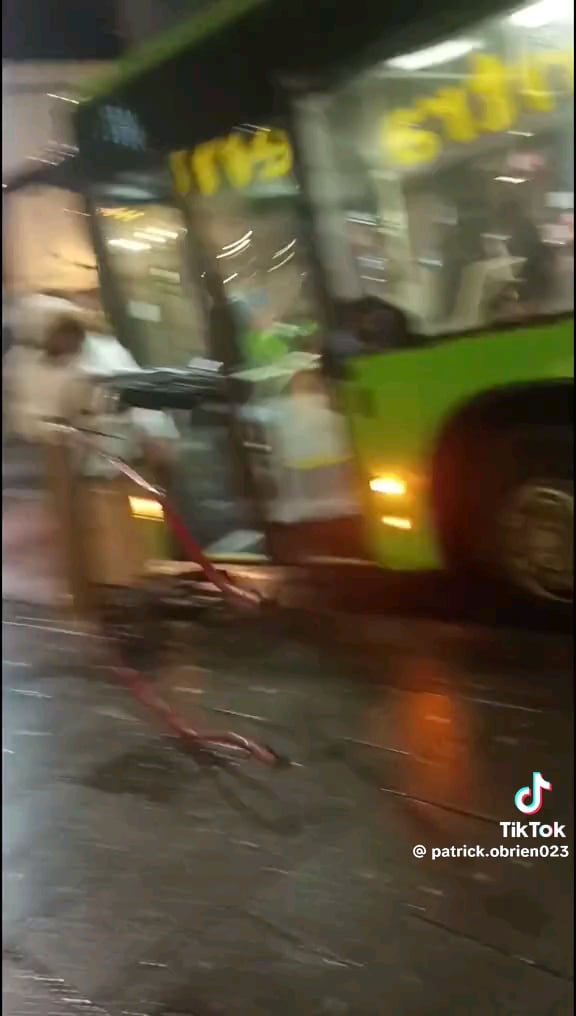 馬をダブリンのバスに乗せる