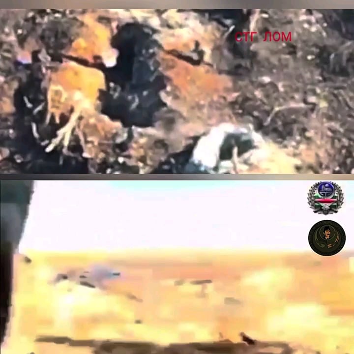 NSFW：チェチェンの戦闘機（ウクライナ側）はロシアのtrenchを襲撃し、3人の敵の兵士を連れ去りました。ドローンとGoProの映像。大隊「シェイク・マンスール」の仕事。
