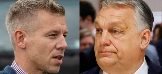 publicus：ティサは、フィデスを越えてすべての選挙層をリードしています