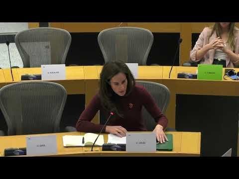 DóraDávidは、デジタルフェアネスフィットネスチェックについて委員会に依頼します