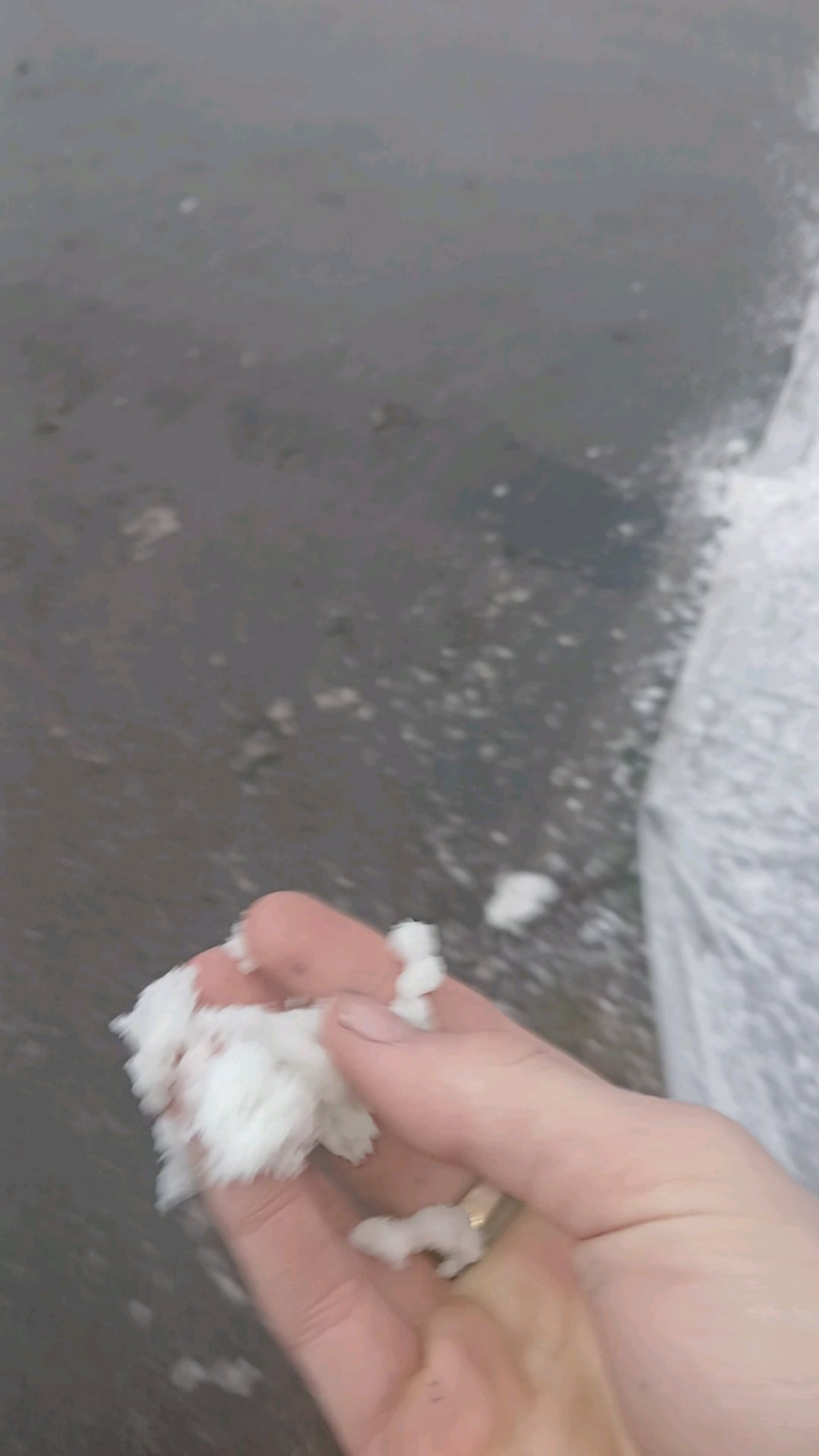 それがこの米国の土地です