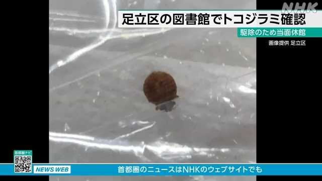 東京 足立区 図書館でトコジラミ確認 駆除のため当面休館