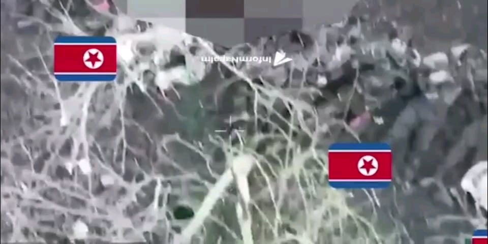 クルスク地域にある排除された北朝鮮兵士の山 [Unconfirmed]