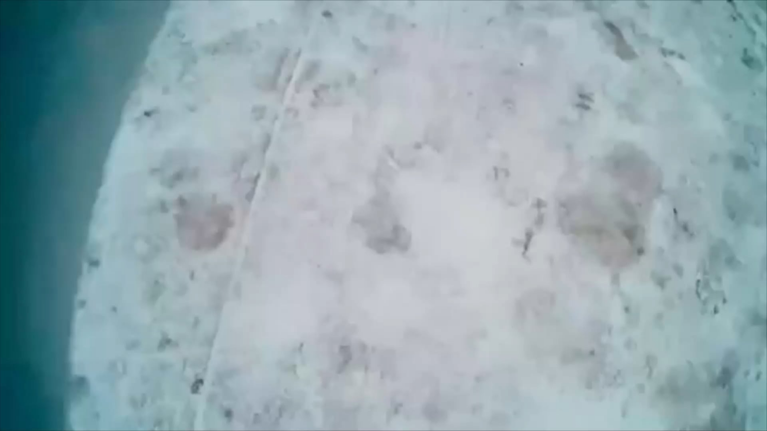 ウクライナのuav "sych"は、東部戦線のグライド爆撃機として使用されます。ロシアのけん引された大砲は、配達が成功した結果、破壊されました。