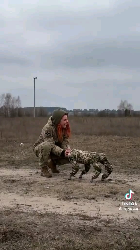 ウクライナの兵士が戦闘用の「犬」を撫でる