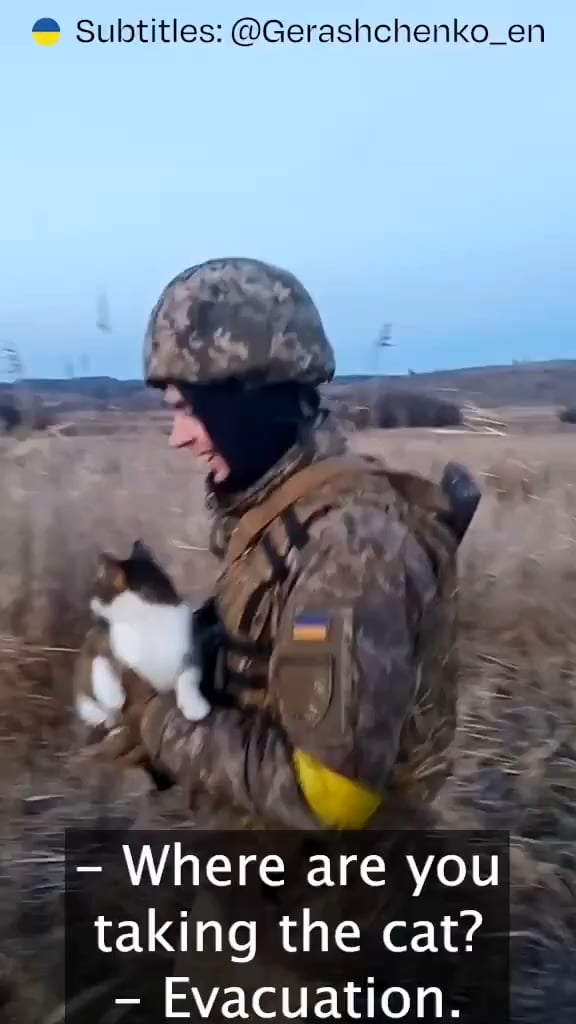 このウクライナ人の防衛者は、本業とは別に、動物を戦線から救い、安全な場所に送り届けています。