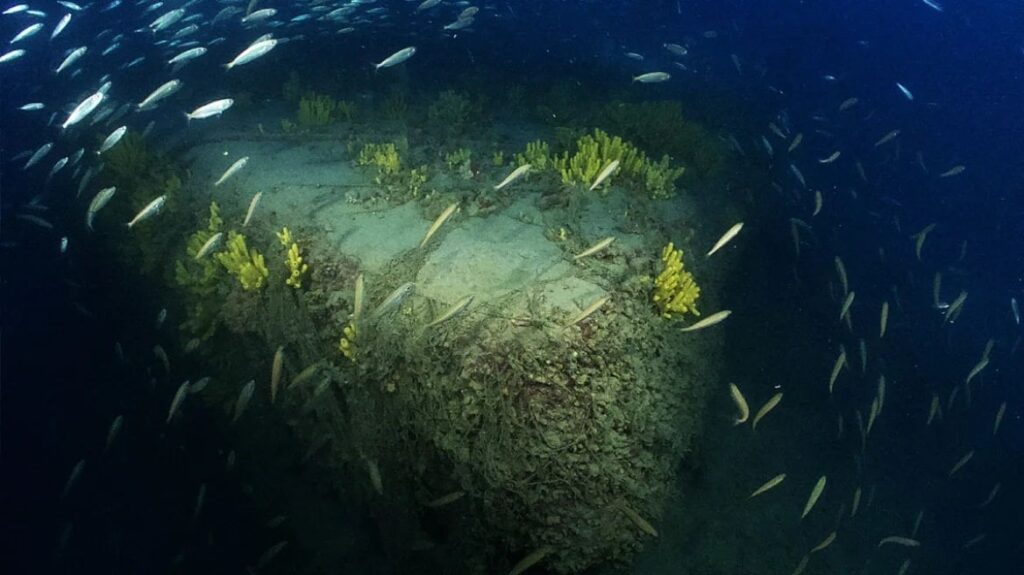 レロス島の海底にある未知の珍しい第二次世界大戦の難破船の最初の画像 - Radiome