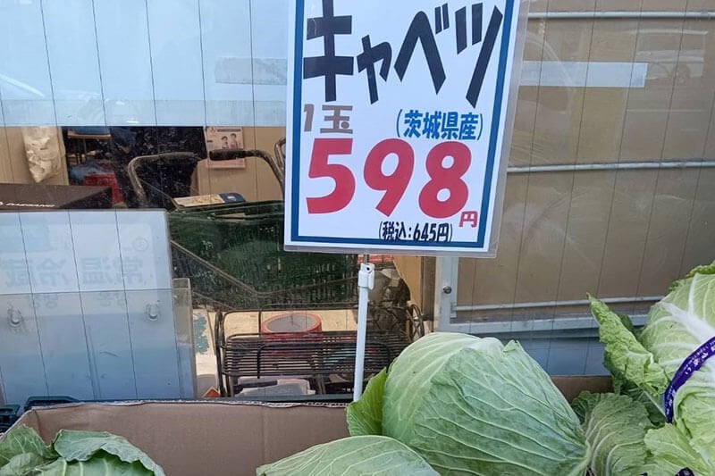 キャベツが「高級食材」に 1玉598円の衝撃 農家では深刻な人手不足で外国人が“参入”