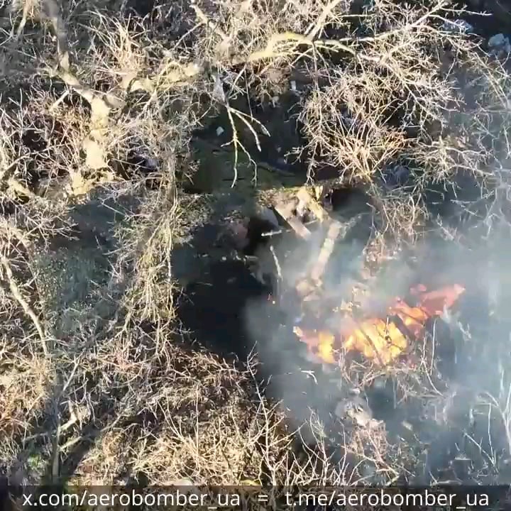 ウクライナの第30機械化旅団の「エアロボンバー」ドローンチームは、茂みに隠されたロシアの歩兵位置を発見し、燃やしました。 Bakhmutの方向。 2025年1月