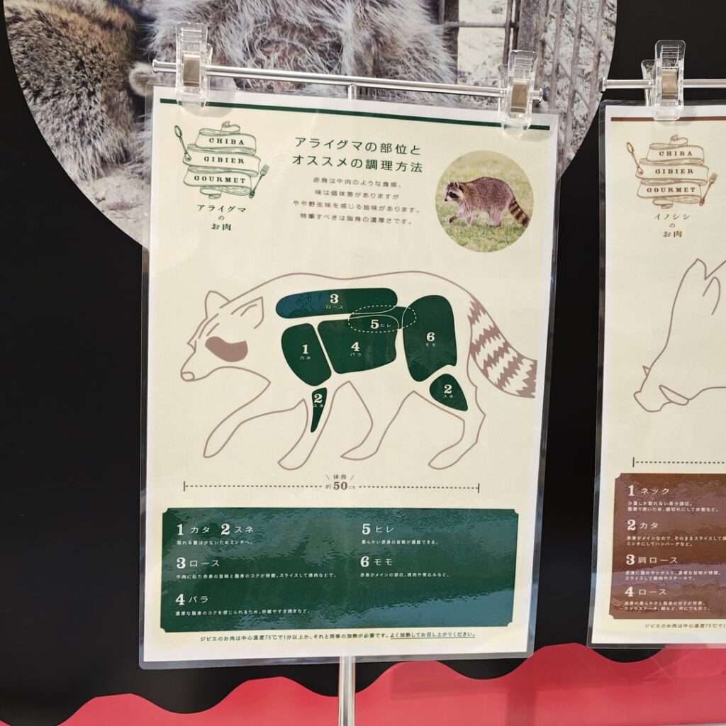 アライグマの肉は臭いとクセが強いと聞いたので万全の準備を期するためエバラ焼肉のタレを買って挑んだ。とりあえずフライパンで焼いてみたところ、どんどん油がでてきて最終的には揚げてるような状況になってしまった。今アライグマの油でベタベタになったフライパンとコンロを見なかったことにしている