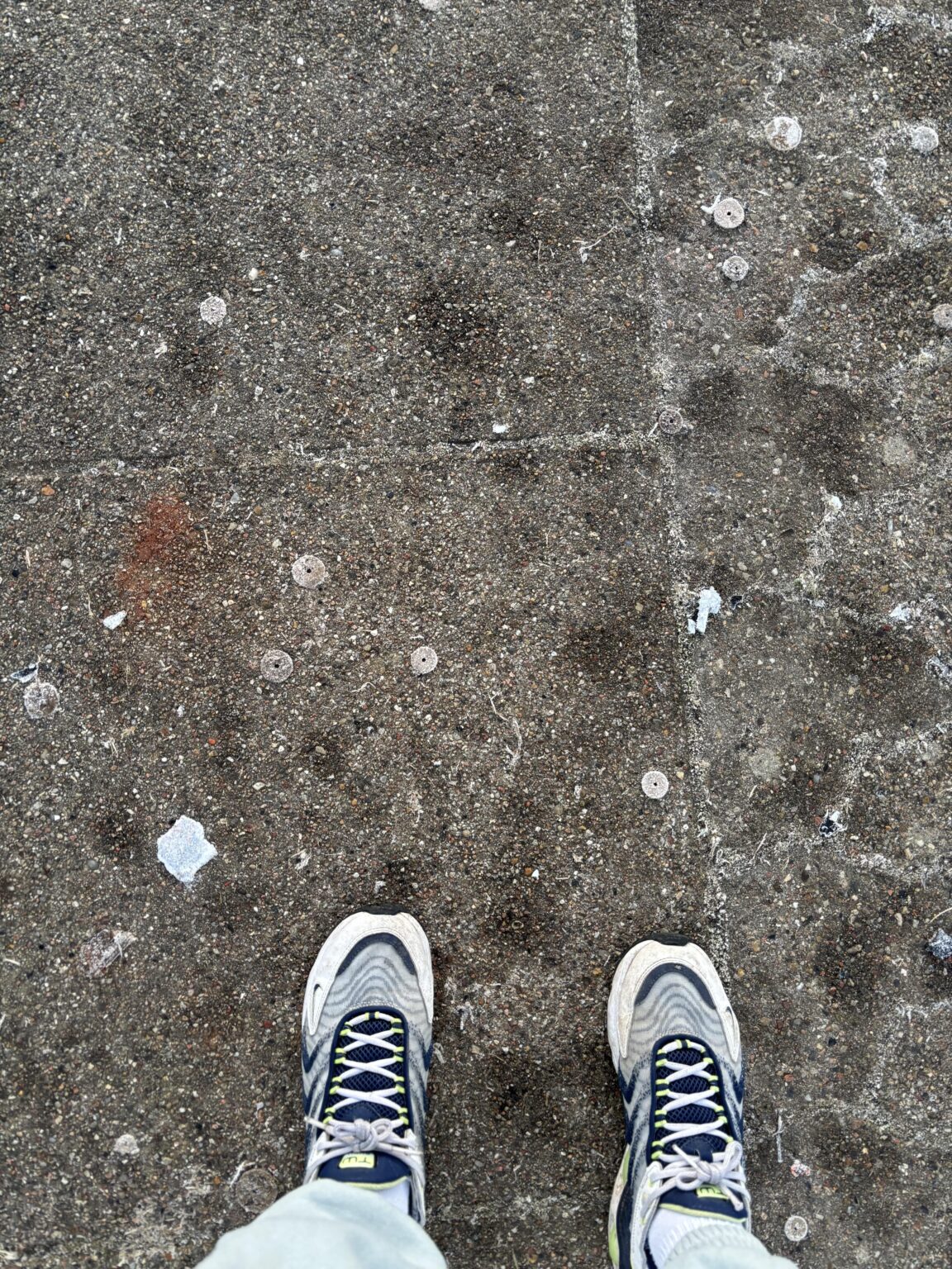 POV: 新年が明けて、あなたはファイブアールを見つけます