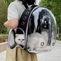 こんにちは！空港で許可されているペットキャリーにはどのようなものがありますか?