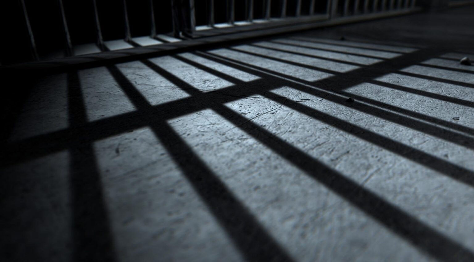 クロアチアで逮捕されたベルギーの殺人のために刑務所で終身刑を宣告されたオランダの逃亡者