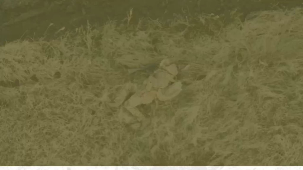 ロシアの兵士に対するFPVドローンストライキの60番目の機械化旅団からの残忍な映像 *グラフィック * *NSFW *