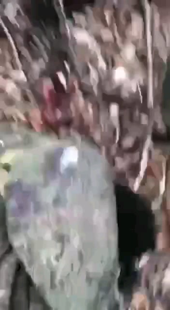 ロシアの侵略者は、ウクライナのドローンオペレーターを待ち伏せしました。ウクライナ人は反撃し、3人のロシア人を排除し、略奪品を押収し、犠牲者を出しませんでした