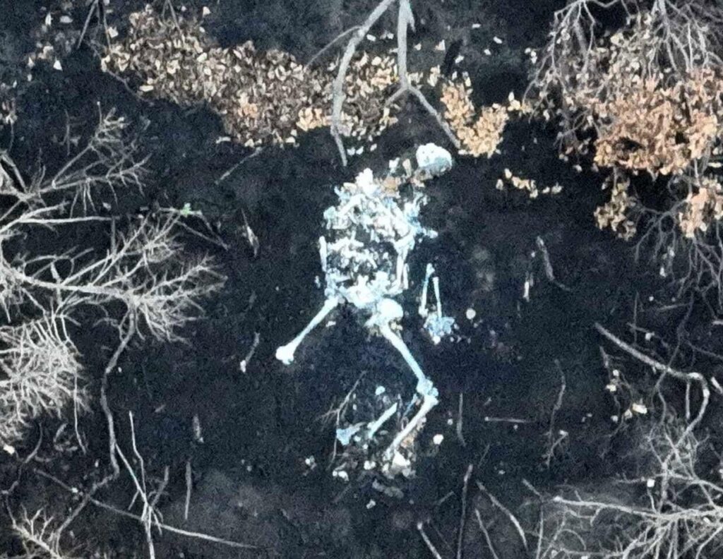 3年ぶりの東部戦線の野原に横たわるロシア軍兵士の白骨遺骨の山。