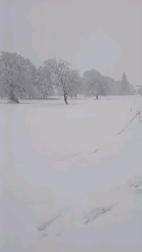 皆さん、私はまだアイルランドにいますか?