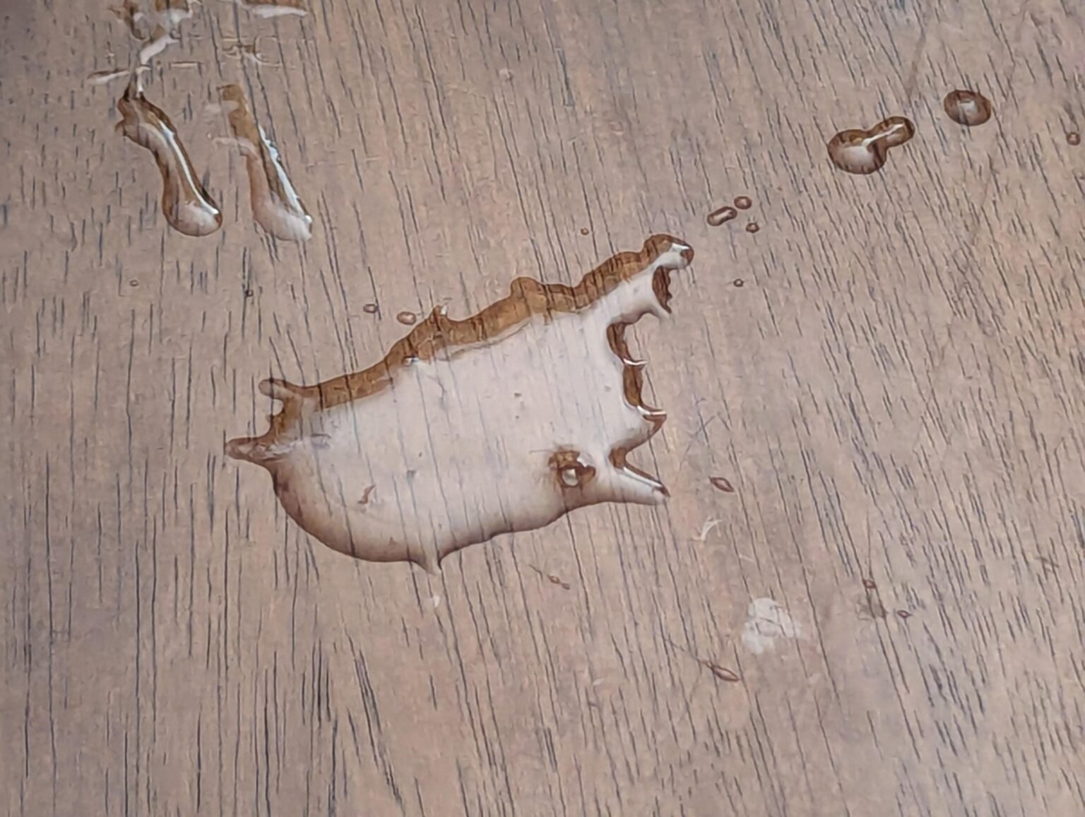 キプロスの形をしたグリース流出