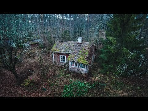 スウェーデン人が60年間、外の世界から離れて住んでいた [man får inte veta mycket om mannens liv men det är lite fascinerande med eremiter som dessa]