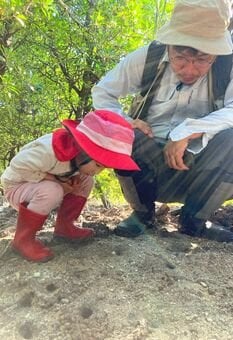 きっかけは３歳女児「これ何？」　八重山で初確認された寄生バチ　研究者の父「くやしいけど嬉しい」