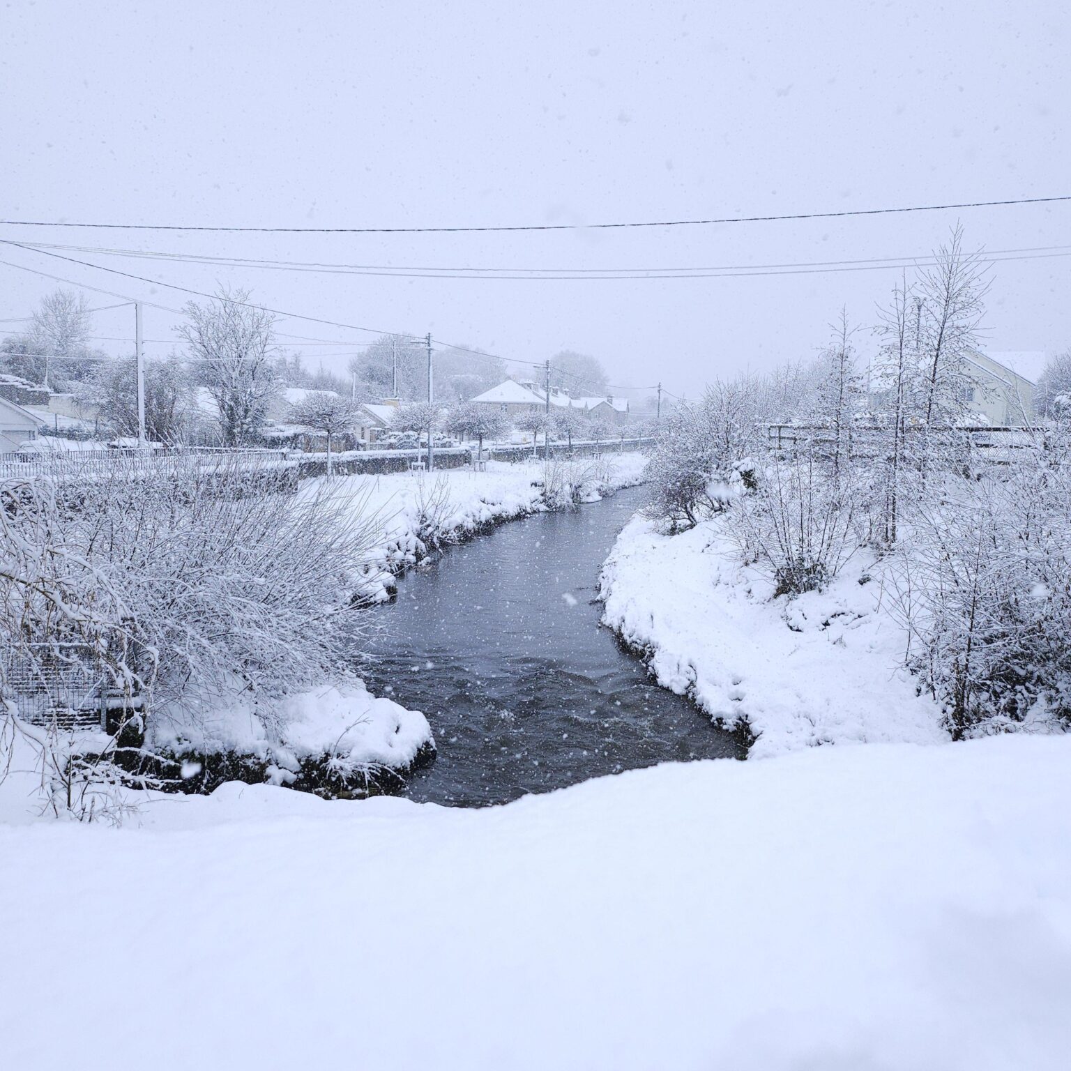 信じられないかもしれませんが、雪が降りました。
