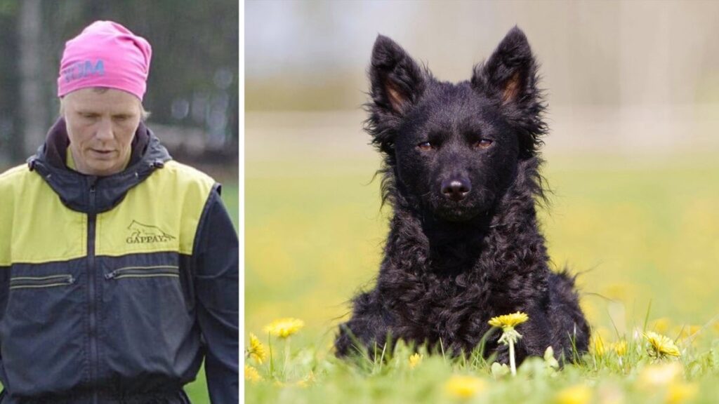 アメリカ人のいじめっ子がカミラの犬を噛み殺した（エーレブロ、オーデンバッケン）