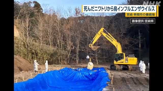 串間市の養鶏場で高病原性鳥インフルウイルス検出 今季２例目