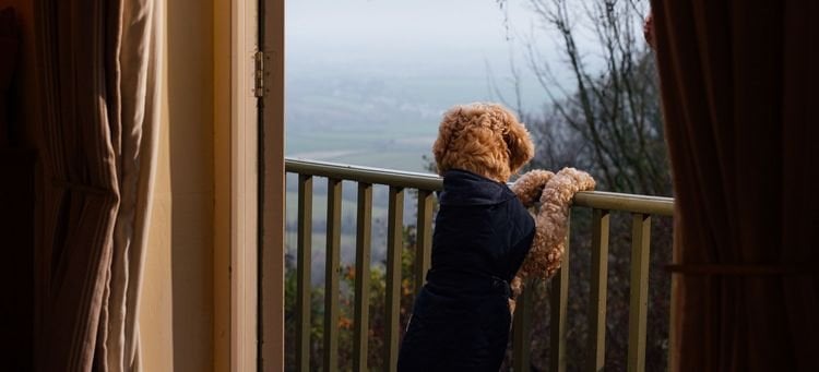犬と泊まれる別荘を見つけるためのウェブサイト?