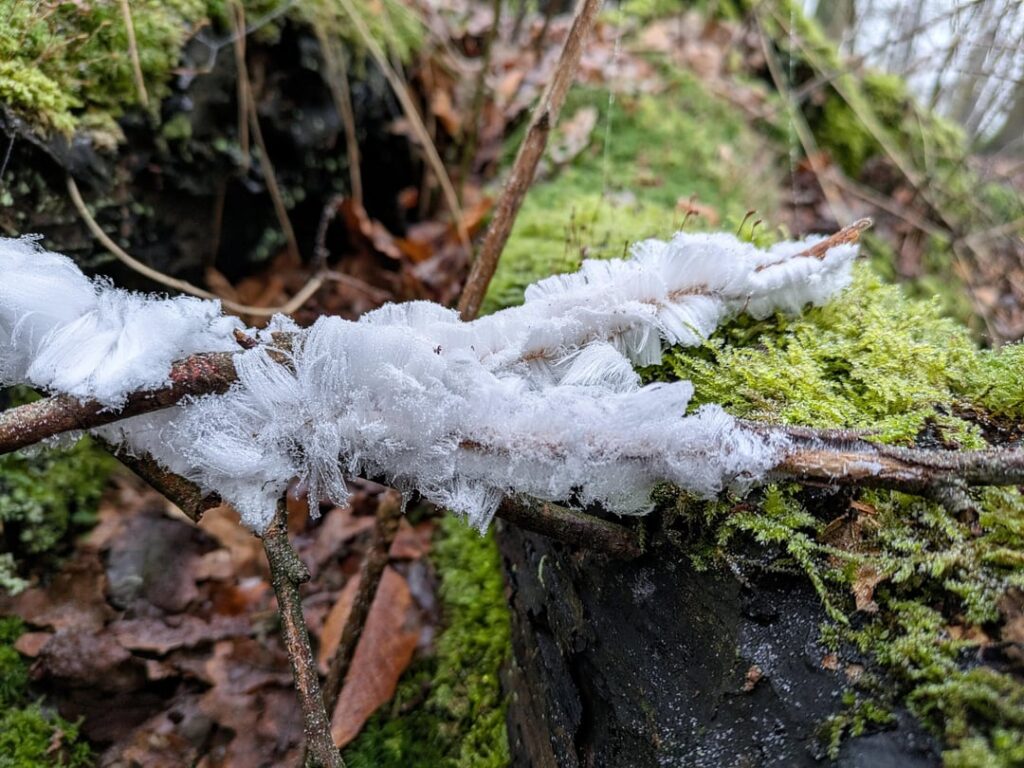 特別な発見: 氷の髪。これは非常に特殊な状況でのみ発生しますが、今日は幸運でした。
