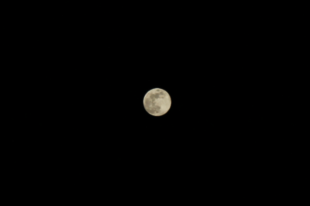 今年最初の満月🌕✨