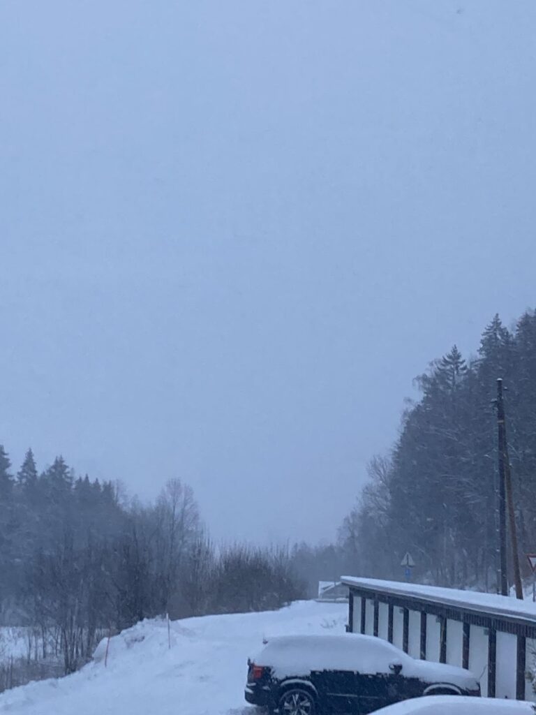 ここはオスロから 30 分の距離です (ノルウェー西部と北部ではさらにひどいです)